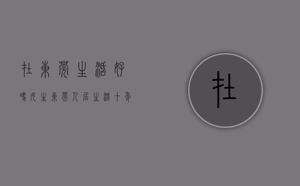在东莞生活好吗女生（东莞人居生活十年演变史：从“有房子住”到“住得更好”）
