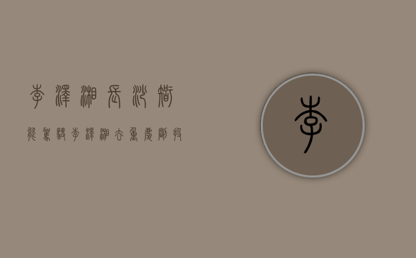 李泽湘长沙智能驾驶（李泽湘去重庆，刚投了两位95后）(李泽湘是哪里人)