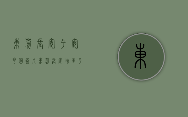 东莞长安平安花园图片（东莞长安增田《平安居》中心区小产权房 首付3成，均价4600元）