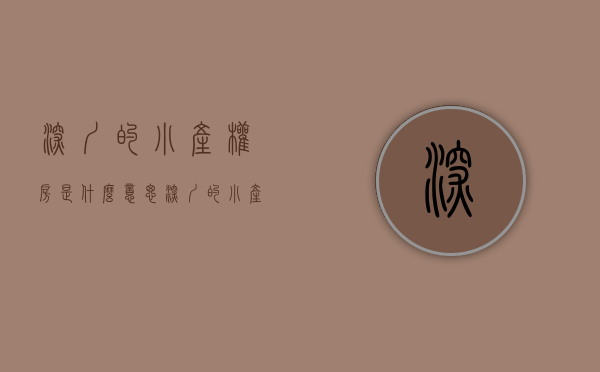深圳的小产权房是什么意思（深圳的小产权房为什么这么火爆？）(深圳小产权房的比例有多大?)