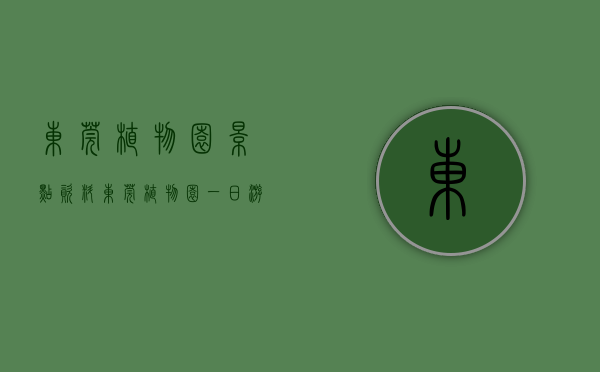 东莞植物园景点资料（东莞植物园一日游，看小伙怎么样评论？）(东莞植物园好玩吗?)