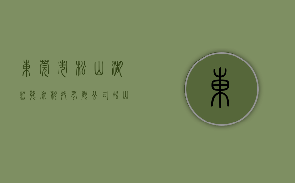 东莞市松山湖新能源科技有限公司（松山湖：着力提高创新能级，打造引领东莞高质量发展核心引擎）