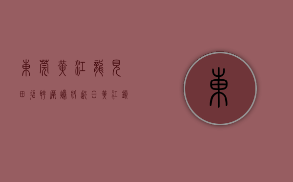 东莞黄江龙见田招聘厂（爆料：近日，黄江镇龙见田机耕巷欢坑的一家私厂零晨发生大火！）