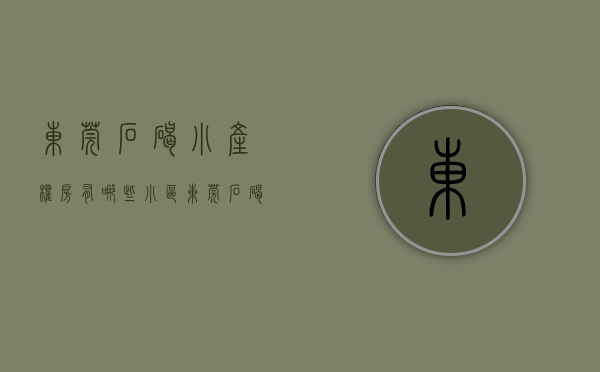 东莞石碣小产权房有哪些小区（东莞石碣小产权房有哪些）(石碣小产权房最新楼盘)