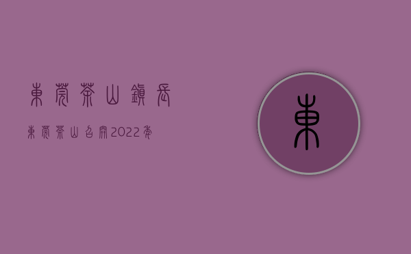 东莞茶山镇长（东莞茶山召开2022年度工作总结暨高质量发展大会）