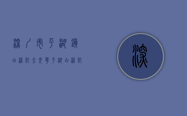 深圳市平湖镇白泥坑（金光华 平湖白泥坑旧村片区旧改！（附效果图）有资源！）