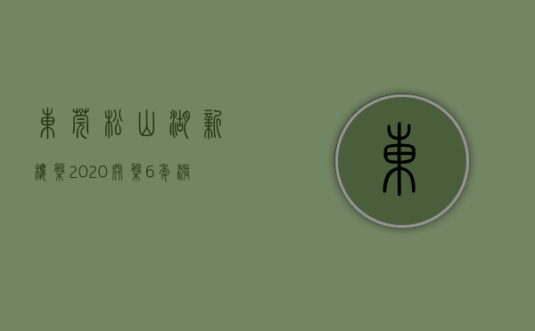 东莞松山湖新楼盘2020开盘（6年涨了7倍！东莞投资置业指南之——那些叫“松湖”的项目）