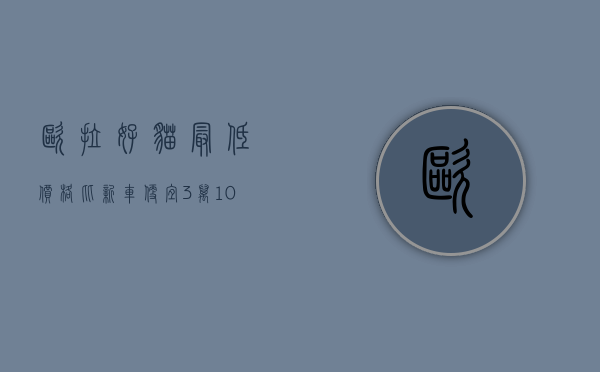 欧拉好猫最低价格（比新车便宜3万，10万就能买二手欧拉好猫准新车，值吗？）