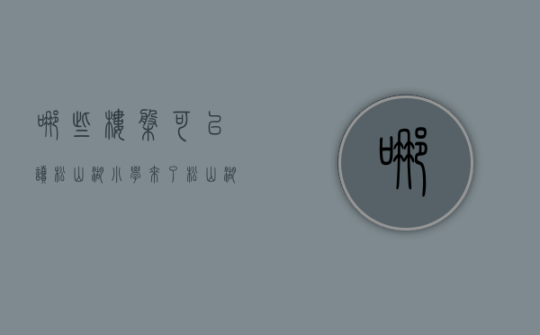 哪些楼盘可以读松山湖小学（来了松山湖才知道，学校旁的房子，是孩子一生的社会资本）