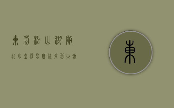东莞松山湖附近小产权怎么样（东莞松山湖小产权房为什么很受消费者青睐？）