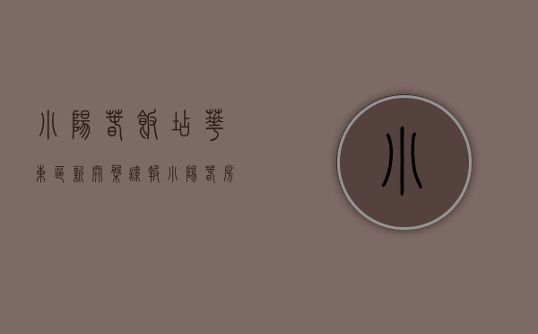 小阳春饭店（华东区新开盘谍报：“小阳春”房企加快推盘，整体去化较好，改善盘为主）