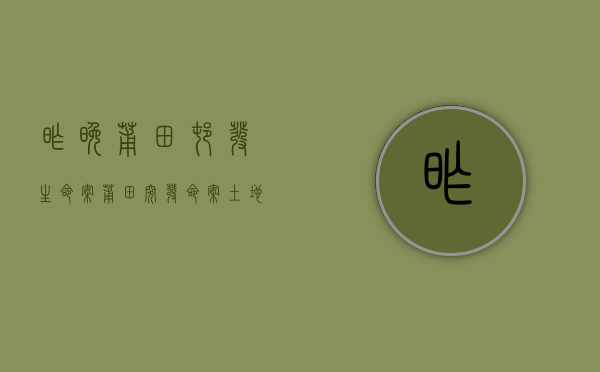 昨晚莆田村发生命案（莆田突发命案，土地纠纷致两死一伤，疑村干部一家三口被凶手灭门）