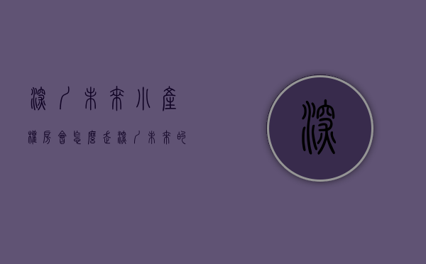 深圳未来小产权房会怎么走（深圳未来的小产权房将何去何从深圳小产权房最新讯息）