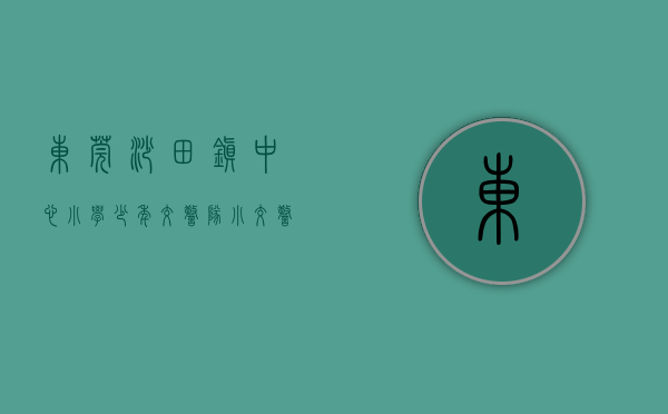 东莞沙田镇中心小学少年交警队（“小交警，大比拼”，广东少年交警队（东莞东城）选拔赛圆满落幕）