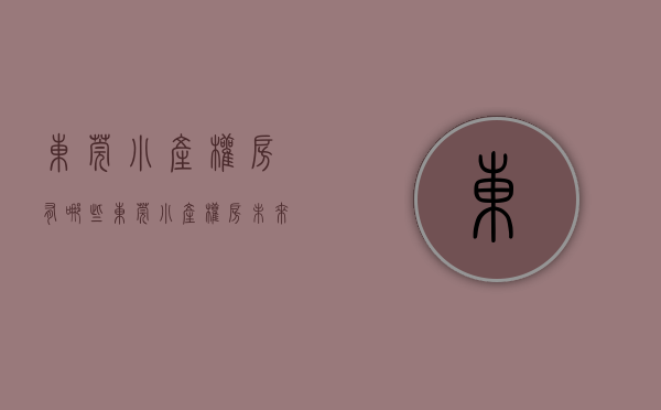 东莞小产权房有哪些（东莞小产权房，未来最有价值的地方在哪里？）(东莞小产权房网,新开盘小产权房楼盘信息网)