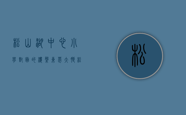 松山湖中心小学对面的楼盘（东莞大朗松山湖《学府春天》3字头小产权房 地铁口带大型停车场 无条件分期）