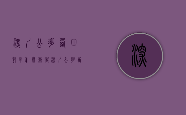 深圳公明西田村有什么兼职（深圳公明《西田豪苑》西田最新小产权房 超高回报率一房31W起）