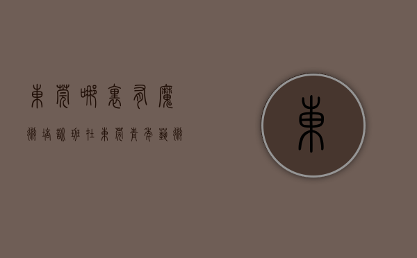 东莞哪里有魔术培训班（在东莞青年艺术家圆梦舞台上他带领观众走进“魔法秘境”）