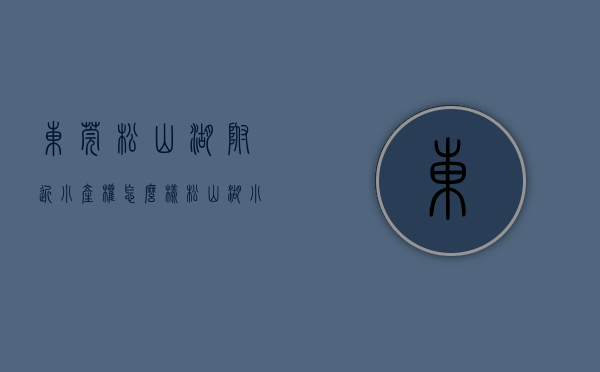 东莞松山湖附近小产权怎么样(松山湖小产权房最新开盘)