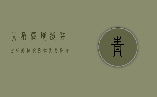 青岛极地海洋世界动物（“豹”喜啦！青岛极地迎来两只新生斑海豹）(青岛海洋极地世界有什么动物)
