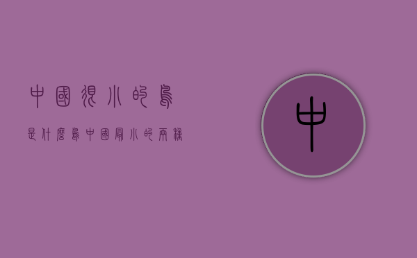 中国很小的鸟是什么鸟（中国最小的两种鸟现身湖南崀山）(中国最小的鸟有哪些)
