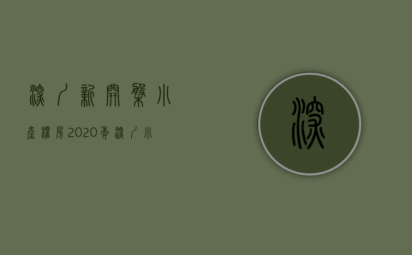 深圳新开盘小产权房（2020年，深圳小产权最便宜的“地铁盘”上市，两房仅54万！）