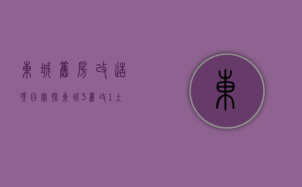 东城旧房改造项目（实探！东城3旧改+1土储全“躺平”！地有了，房子呢？）(东城改造最新消息)