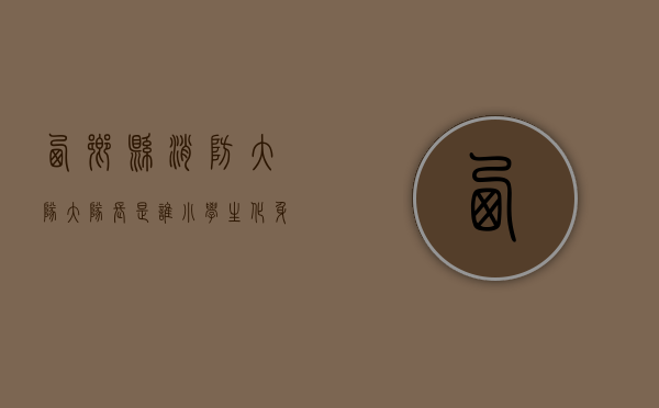 西乡县消防大队大队长是谁（小学生化身成为小小“消防员”！深圳宝安西乡消防救援站组织开展消防站开放日活动）