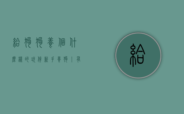 给狗狗养个什么样的玩伴（新手养狗丨有什么狗玩具狗粮小狗用品推荐的吗？）