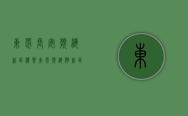 东莞长安滨海新区楼盘（东莞滨海湾新区-新安大桥500米-长安乌沙大润发旁边的小产权房）