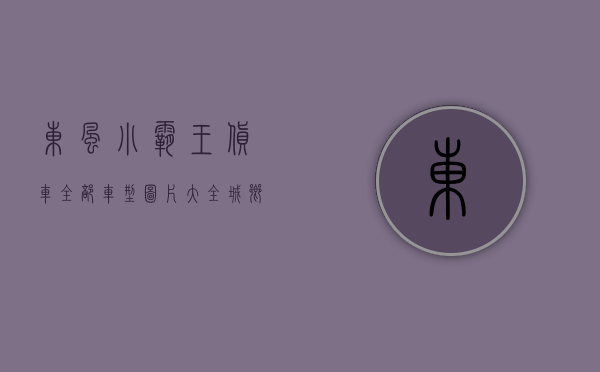 东风小霸王货车全部车型图片大全（城乡配送创富小卡，就认准东风小霸王  卡车之友网）