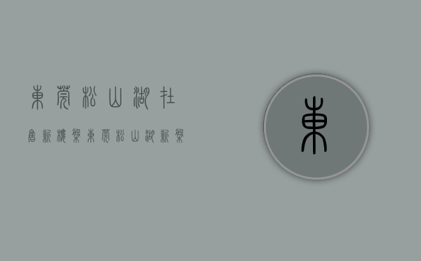 东莞松山湖在售新楼盘(东莞松山湖新盘最低价) 东莞松山湖在售新楼盘(东莞松山湖新盘最低价)