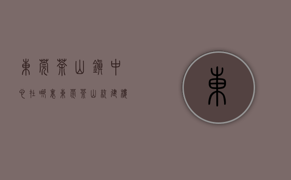 东莞茶山镇中心在哪里（东莞茶山统建楼推荐【茶山中心花园】有停车场通天燃气户户双阳台4980平起）