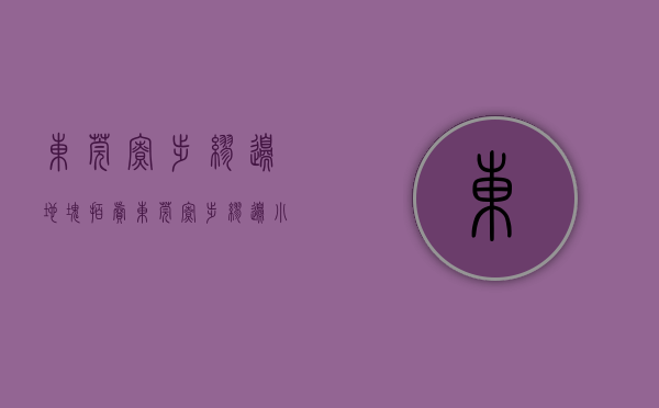 东莞寮步缪边地块拍卖（东莞寮步缪边小产权房《松湖天玥》5栋花园小区复式房，颁发绿本）