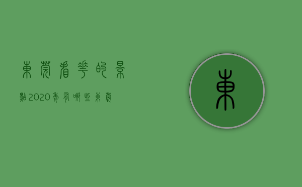 东莞看花的景点2020年有哪些（东莞十大赏花景点 东莞赏花好去处 热门赏花景点推荐）