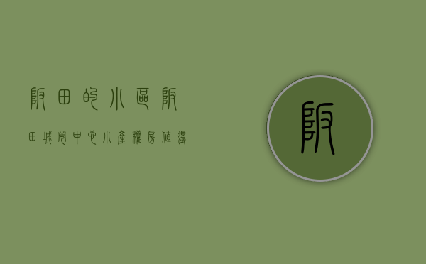 坂田的小区（坂田城市中心 小产权房 值得入手吗？）