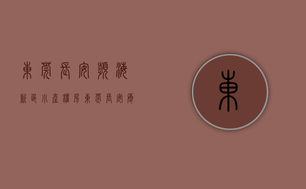 东莞长安滨海新区小产权房（东莞长安厦边6栋500户统建楼小产权房 【滨海明珠】花园   带车库）