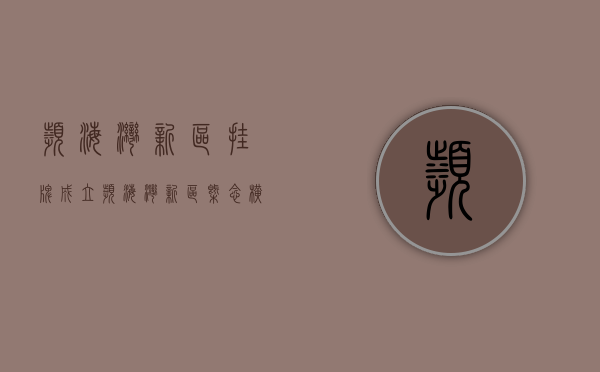 滨海湾新区挂牌成立（滨海湾新区概念横空出世上演涨停潮：概念股哪家强？）