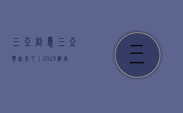 三亚创意（三亚“热”起来了丨2023海南国际文创周首日速递）(三亚国际文化艺术交流综合体项目)