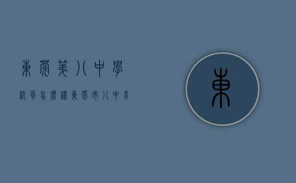 东莞第八中学校风怎么样（东莞市八中男子足球队成功晋级第二届中国青少年足球联赛全国总决赛）