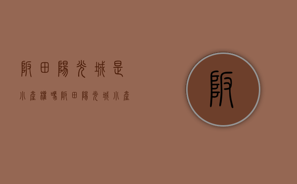 坂田阳光城是小产权吗（坂田阳光城小产权房公开售卖 律师：购房者需谨慎）