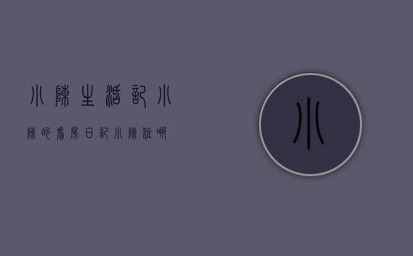 小陈生活记（小陈的看房日记）(小陈的日常生活视频)
