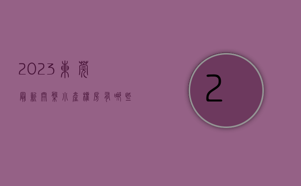 2023东莞最新开盘小产权房有哪些地方的（2023东莞最新开盘小产权房有哪些地方的）