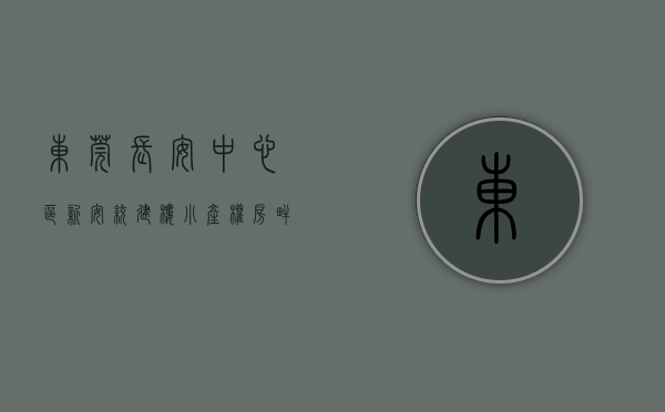 东莞长安中心区新安统建楼小产权房（畔山悦峰）7980元一平米出售-现房可分期