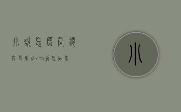 小说怎么营销（开发小说app管理后台，如何避免杂乱无章？）(小说运营方法)