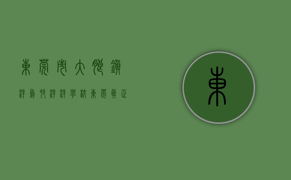 东莞市大朗镇洋乌村洋洋学校（东莞真正拆迁小产权房（洋塘公馆）大朗最新开盘小产权房楼盘（洋塘公馆）大朗中心最新房源小产权房（洋塘公馆）现房交楼即买即交房）