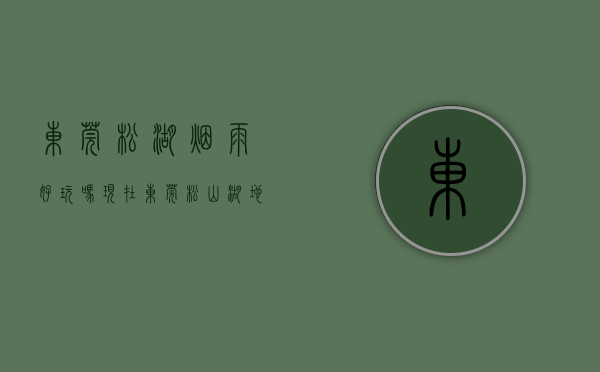 东莞松湖烟雨好玩吗现在（东莞松山湖地铁口【松湖烟雨里】最新开盘小产权 单价5380元起）