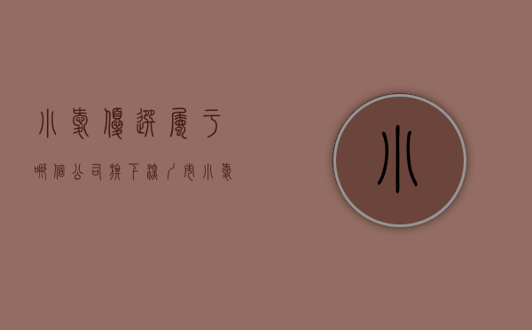 小爱优选属于哪个公司旗下（深圳市小爱优品科技有限公司生产销售抽检不合格充电器案）