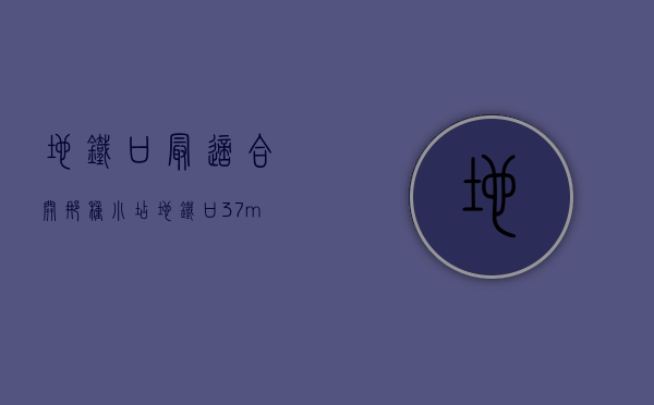 地铁口最适合开那种小店（地铁口37m²改造出小三房，冷色彩也能玩得这么高级）