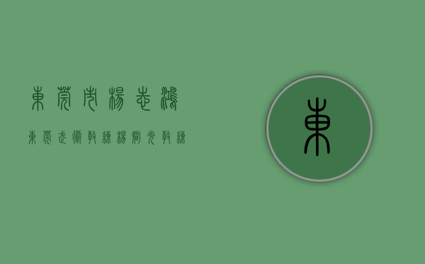东莞市杨志鸿（东莞武术教练，杨智光教练，首先把最好的武术教给你！）(广东 杨志)